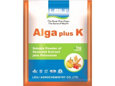 ALGA K PLUS 1KG lombtárgya