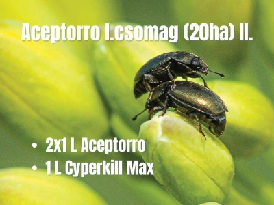 Aceptorro I.csomag (20ha)  II.