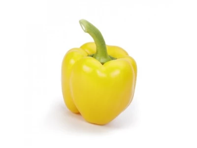 Allrounder 100 szem blocky paprika vetőmag