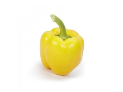 Allrounder 1.000 szem blocky paprika vetõmag