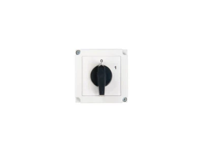 Apator tokozott ipari be-ki kapcsoló 3P 25A 4G25-10-PK