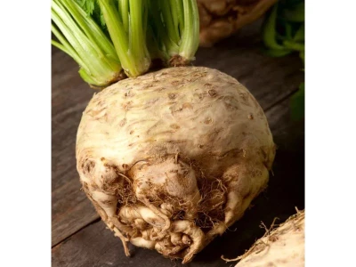 Asterix 2.500 szem zeller vetõmag