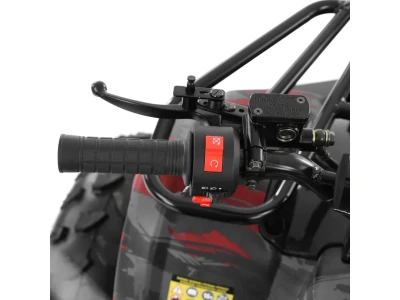 Benzinmotoros Quad 125ccm - 56126HURON
