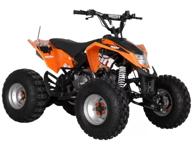 Benzinmotoros Quad - HECHT 54125
