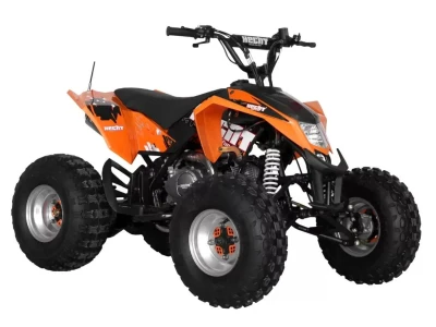 Benzinmotoros Quad - HECHT 54125
