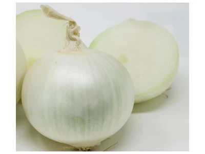 Blanca de Fuentes 100.000 szem hagyma vetõmag