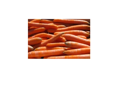 Bolero 100.000 szem sárgarépa vetőmag 1,6-1,8