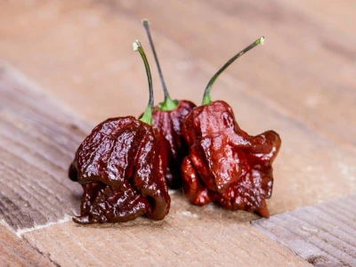 Carolina Reaper Chocolate chilli paprika vetõmag