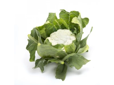 Celeritas 2.500 szem karfiol vetőmag