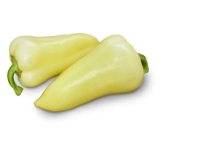 Century 500 szem fehér TV paprika vetőmag