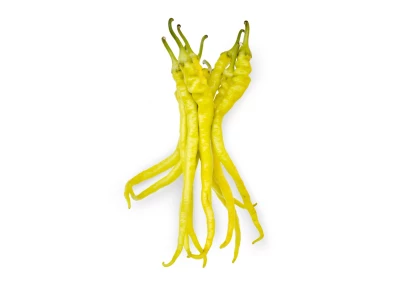 Csípős Spirál 5.000 szem paprika vetőmag