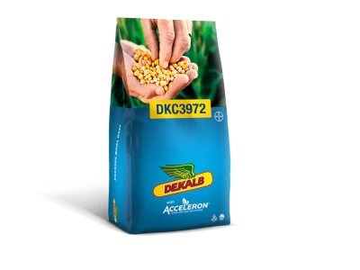 DKC 3972 kukorica vm. 80e sz+Accelero