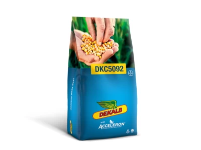 DKC 5092 80.000 szem takarmány kukorica vetõmag