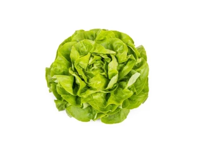 Danubia 1.000 szem fejes saláta vetőmag