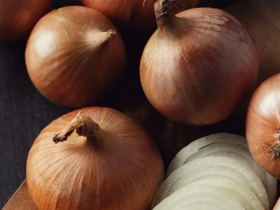 Darcy 25.000 szem vöröshagyma vetőmag