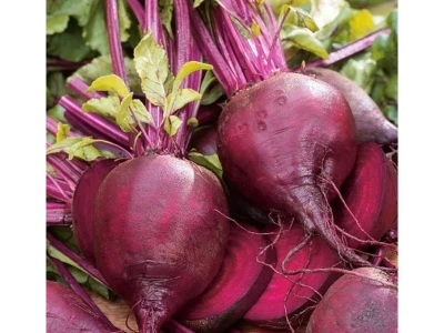 Detroit 250g cékla vetőmag
