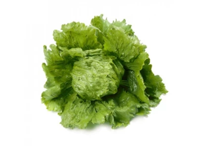 Diamantinas 1.000 szem jégsaláta vetőmag 3-3,5 PIL