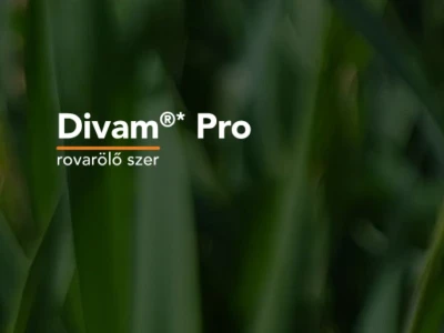 Divam Pro 1 L rovarölõ szer II.