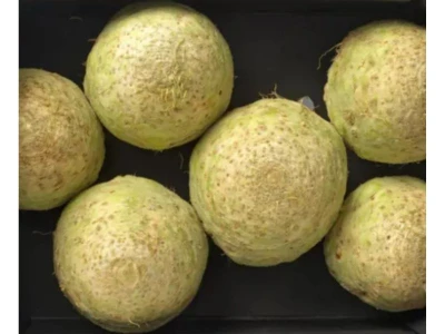 Dukiz F1 10.000 szem zeller vetõmag PILL