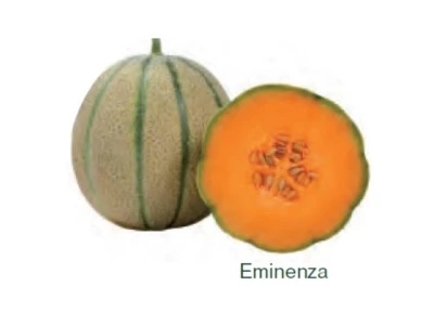 Eminenza 100 szem sárgadinnye vetőmag