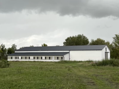 Épületfelújítás - Dorozsma