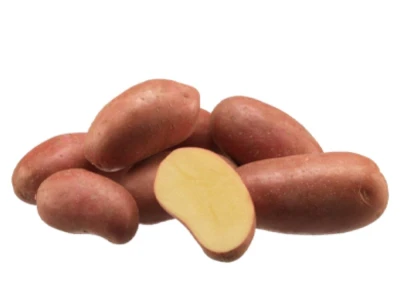 Esmee 25 kg burgonya vg. UT1 35-55 HOL