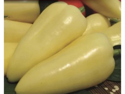 Fehérözön 1.000 szem fehér paprika vetőmag