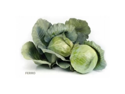 Ferro 2.500 szem fejes káposzta vetőmag