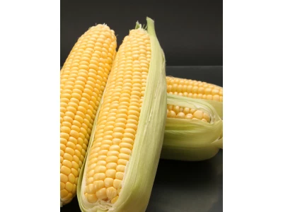 IFS 1770 2.500 szem csemegekukorica vetőmag