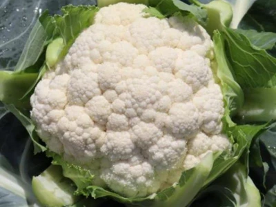 Jakku 2.500 szem karfiol vetõmag