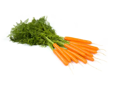 Jerada 25.000 szem sárgarépa vetőmag 1,8-2