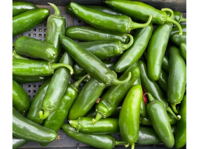 Jumbo (18-1011) 500 szem jalapeno paprika vetőmag