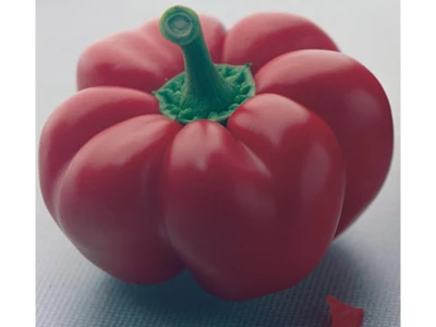 Kabala 500 szem pritamin paprika vetőmag