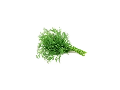 Kapor 100 g kapor vetőmag