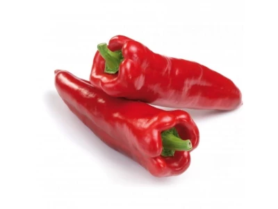 Kaptur 5.000 szem kápia paprika vetőmag