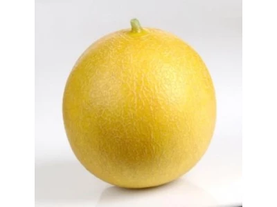 Karpatos 100 szem sárgadinnye vetőmag