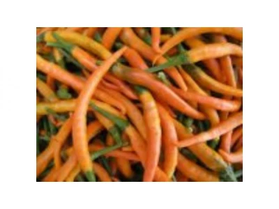 Kilián 500 szem chili paprika vetőmag