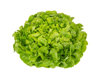 Kivivo 1.000 szem saláta vetőmag PILL