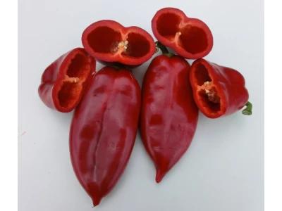 Kraljica F1 5gr kápia paprika vetõmag