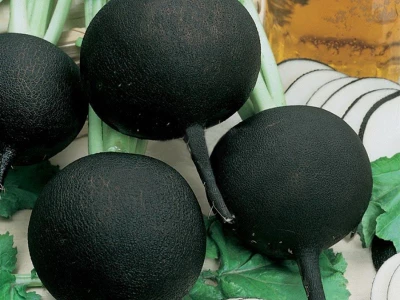 Kulata Cerna 100 g. fekete retek vetõmag