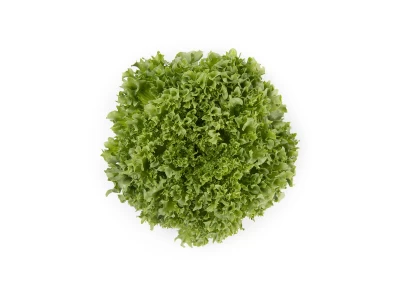 Lalique 1.000 szem kristálysaláta vetőmag 3-3,5