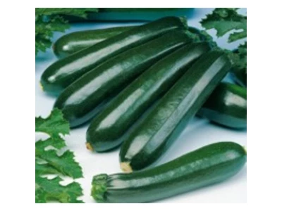Leila 100 gr cukkini vetőmag