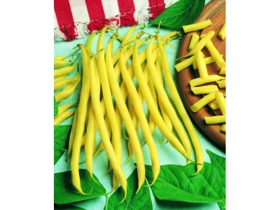 Maxidor 1kg zöldbab vetõmag