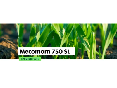 Mecomorn 750SL 5L gyomirtó szer I.