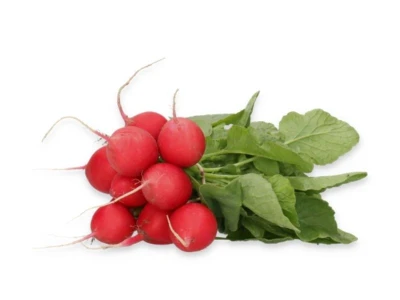 Millom 1.000.000 szem retek vetõmag 2,75-3,0