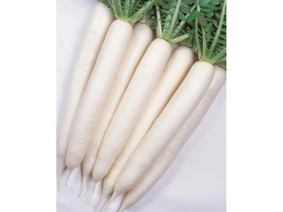 Minowase Summer Cross 100 g jégcsapretek vetőmag