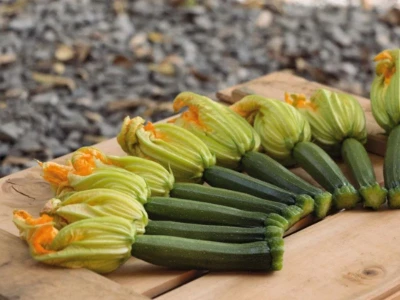 Modena 250 szem cukkini vetõmag