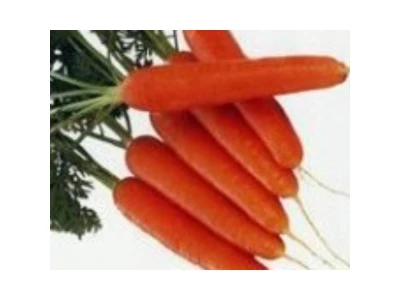Monanta 250 g sárgarépa vetőmag