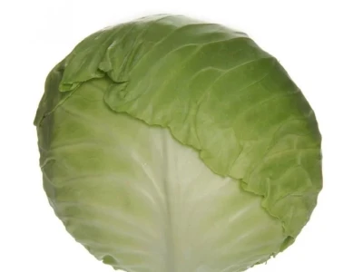Monroo 2.500 szem fejes káposzta vetőmag