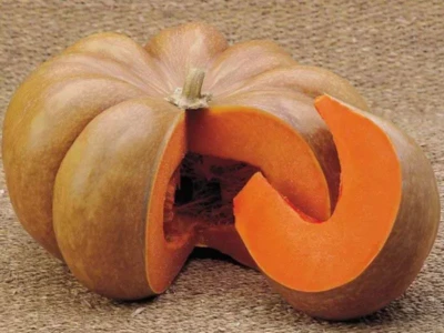 Musque de Provance-Mini 500 szem sütõtök vetõmag